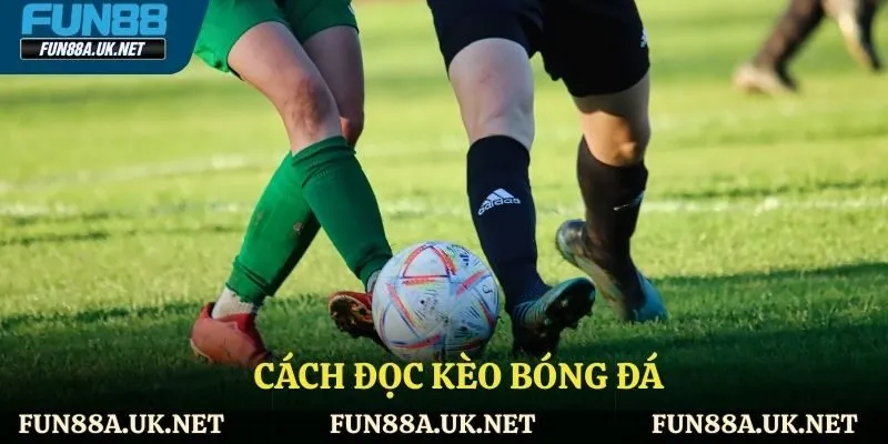 Cách đọc kèo bóng đá