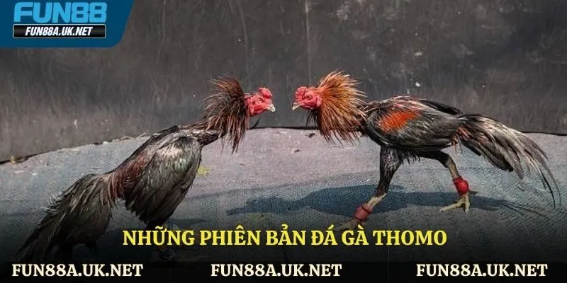 Hai phiên bản đá gà hấp dẫn